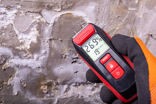 Best Crawl Space Mold Removal  in Pitola, CA