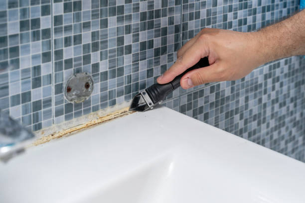 Best Mold Testing  in Pitola, CA